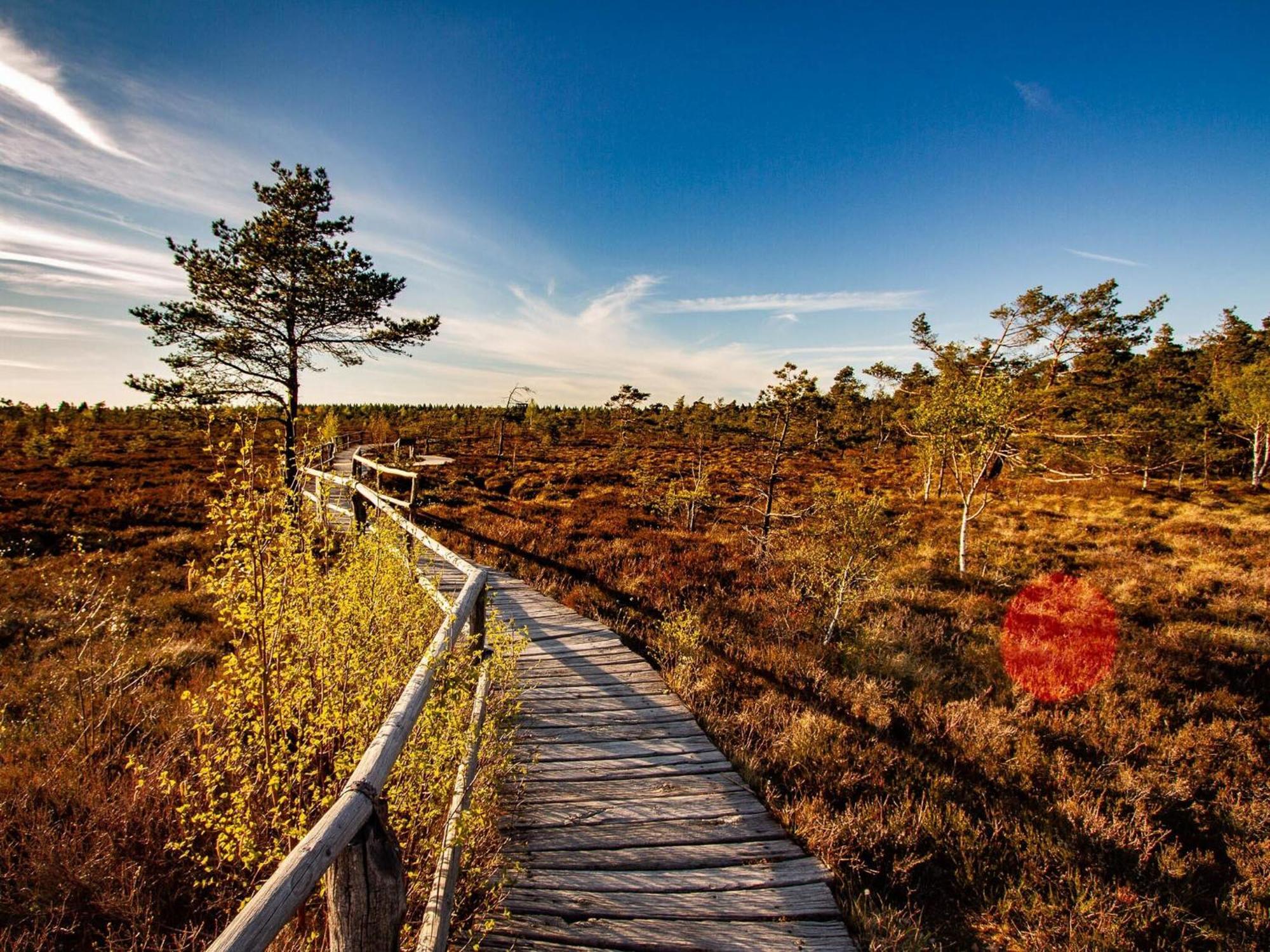 Feriendorf Wasserkuppe Abtsroda Экстерьер фото
